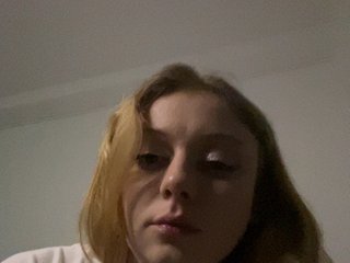 ViveVi