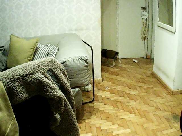 valenseleni96 live cam on BongaCams