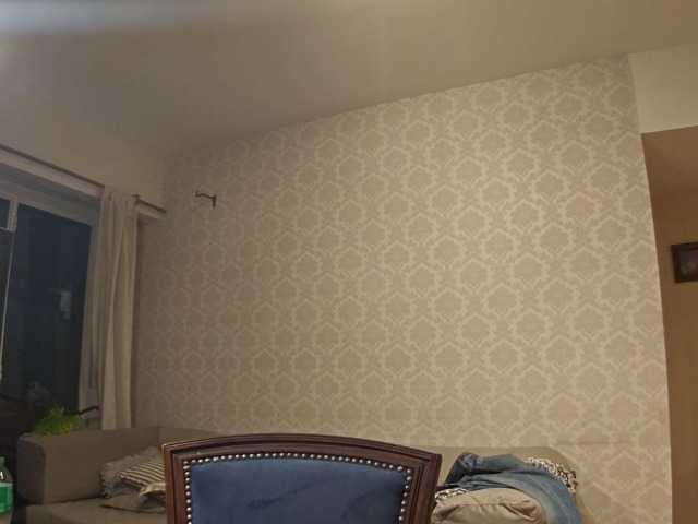 valenseleni96