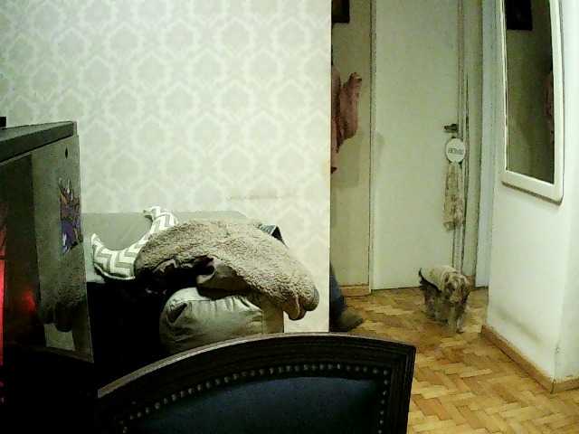 valseleni webcam