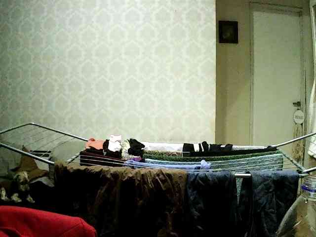 valseleni webcam