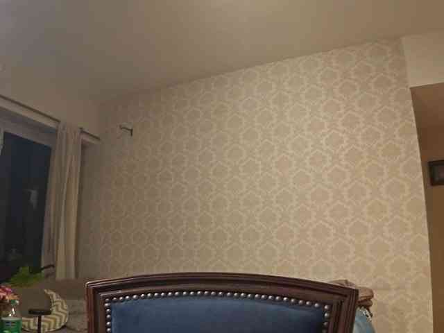 valseleni webcam