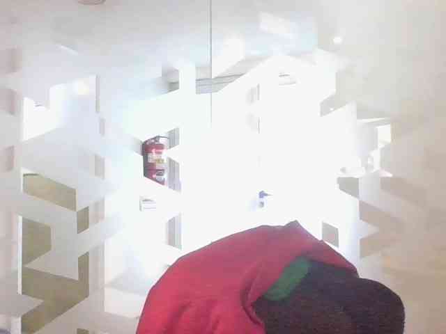 valseleni webcam