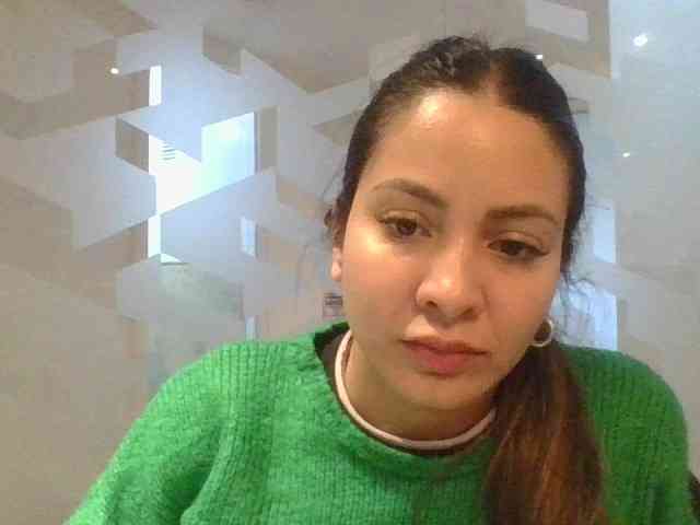 valseleni webcam