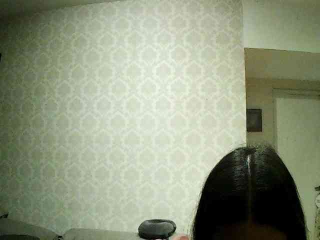 valseleni webcam