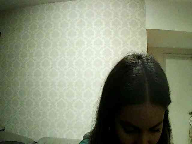 valseleni webcam