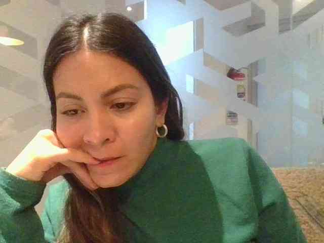 valseleni webcam