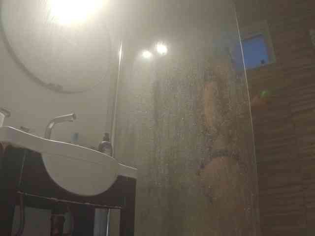 Modelo: valseleni