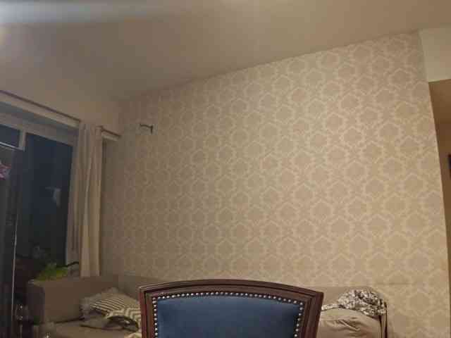 valseleni webcam