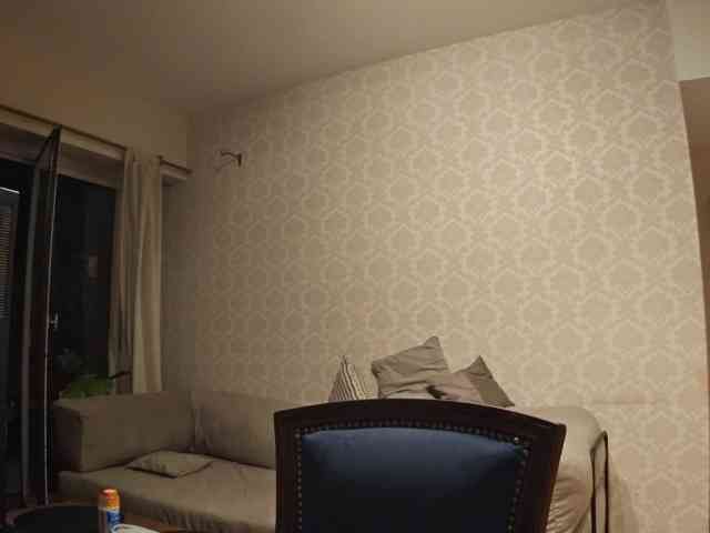 valseleni webcam