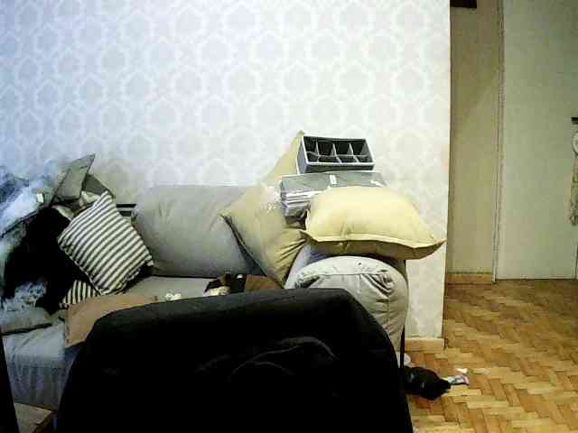 valseleni webcam
