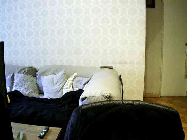 valseleni webcam