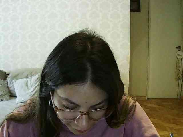 valseleni webcam