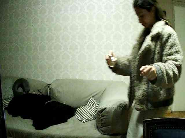 valseleni webcam