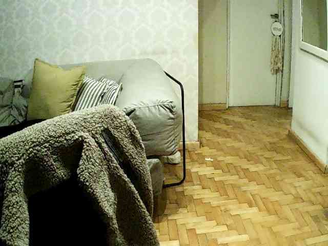 valseleni webcam
