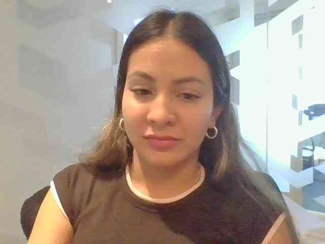 valseleni webcam