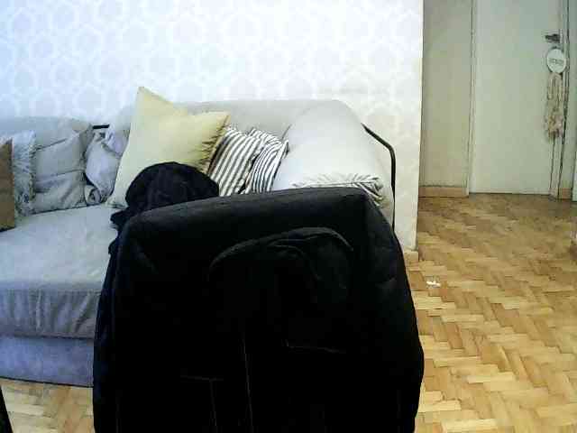 valseleni webcam