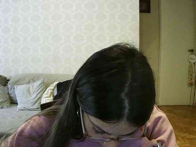 valseleni webcam