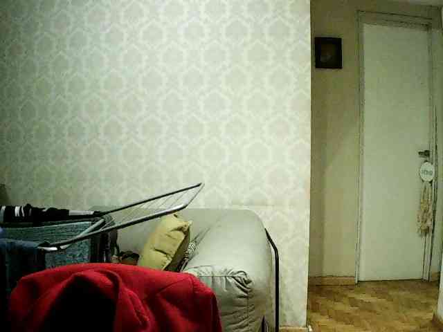 valseleni webcam