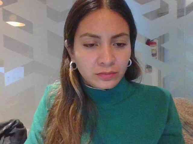valseleni webcam