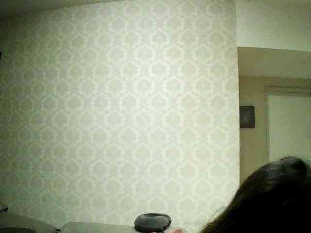 valseleni webcam