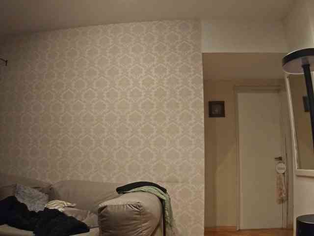 valseleni webcam
