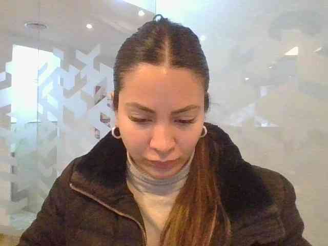 valseleni webcam