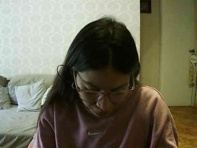 valseleni webcam