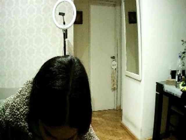 valseleni webcam
