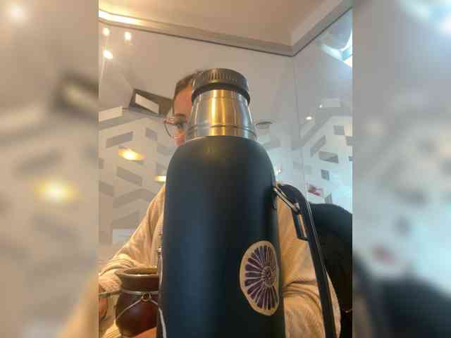 valseleni webcam