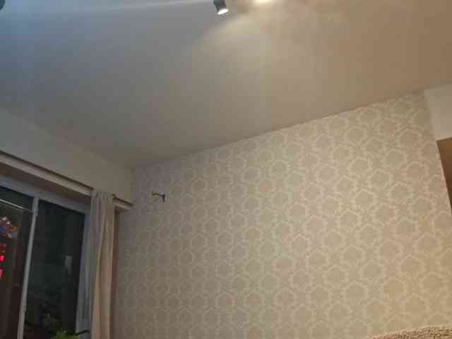 valseleni webcam