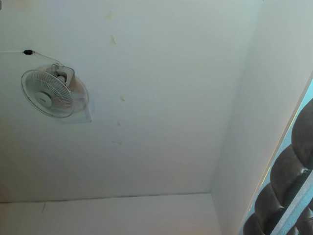 Preview of viviannehart