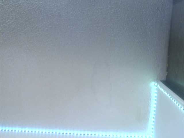 lorenitha live webcam show