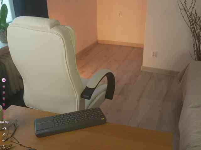 SpecialART webcam