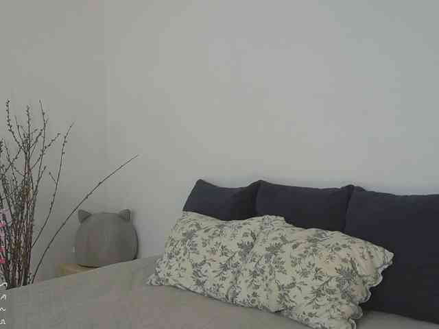 SpecialART webcam