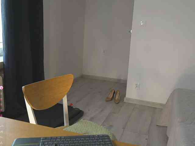 SpecialART webcam