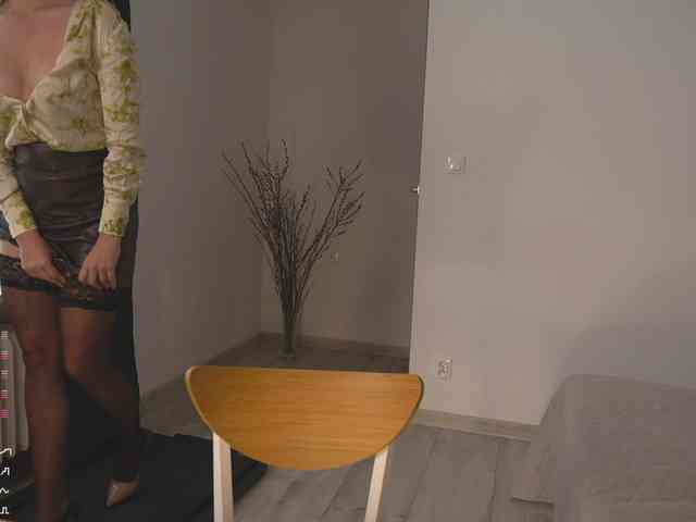 SpecialART webcam