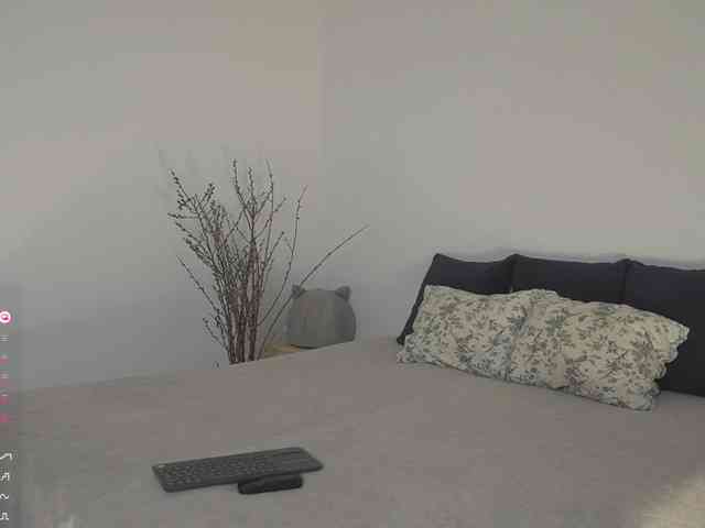 SpecialART webcam