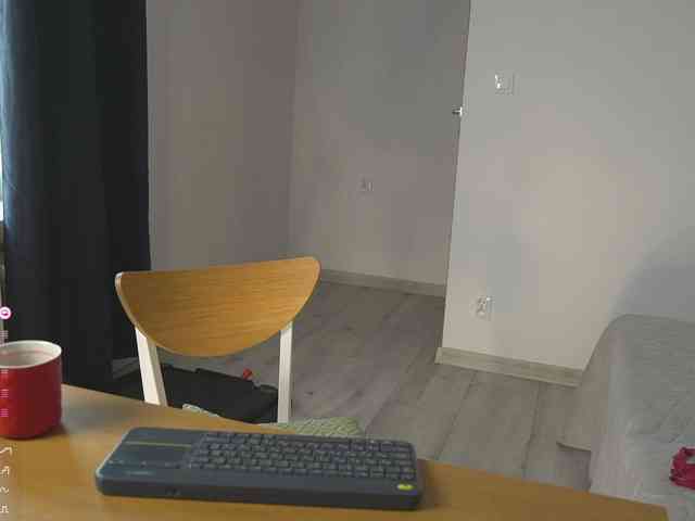 SpecialART webcam