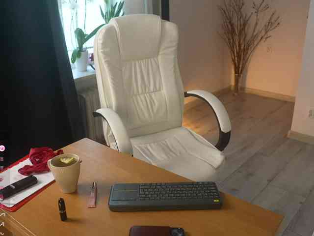 SpecialART webcam