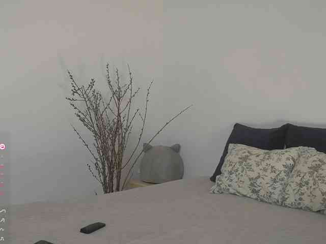 SpecialART webcam