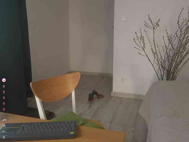SpecialART webcam