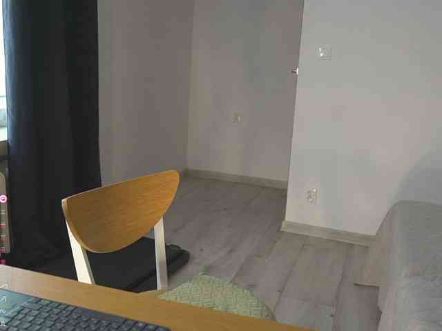 SpecialART webcam