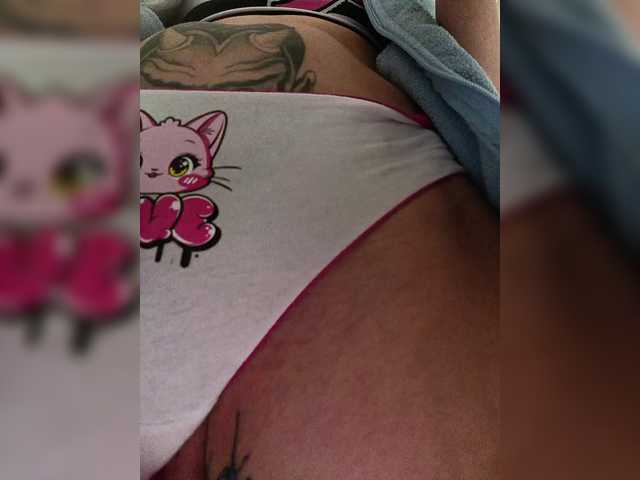  RedFox9595 chat room