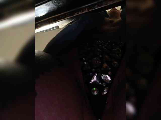 Nastya_fox webcam