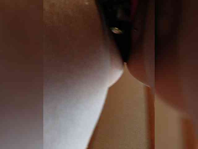 RedFox9595