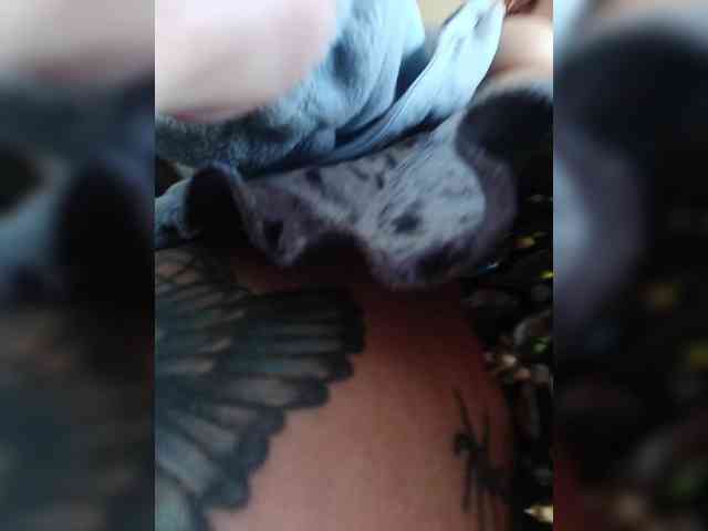 Nastya_fox webcam