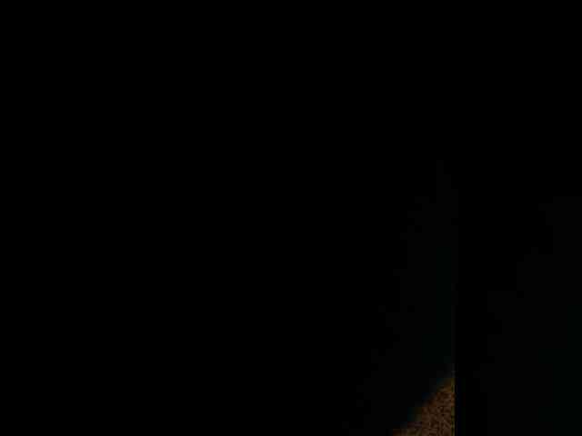 Nastya_fox webcam