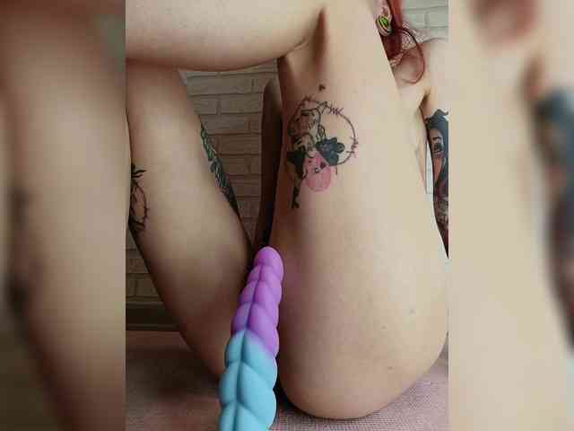 RedFox9595 RedFox9595