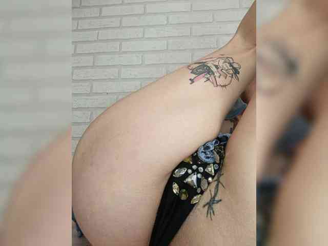 RedFox9595 RedFox9595